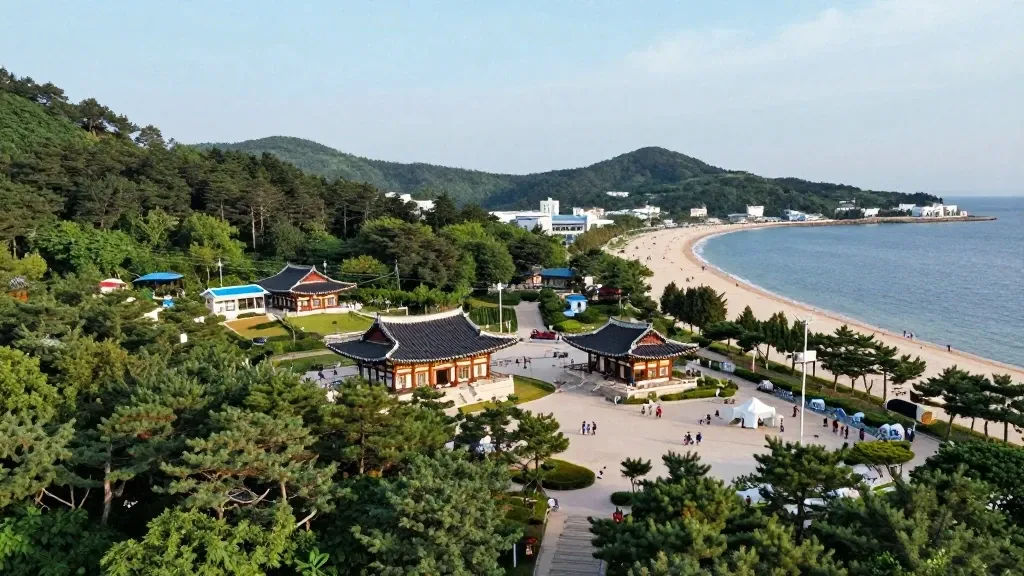 강릉 비 오는 날 가볼만한 곳 이미지