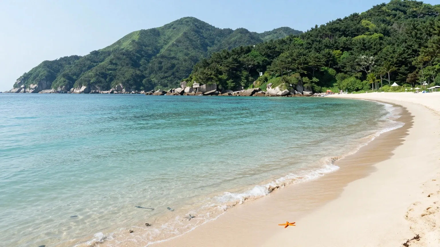 여름 고성 여행 추천 일정과 동선 구성 이미지